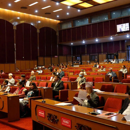 नेपाल ऐन संशोधन गर्ने विधेयक राष्ट्रिय सभाबाट पारित