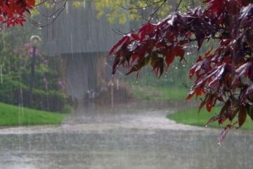 अर्घाखाँचीमा ११४ मिमी, दाङ, रुपन्देही र नवलपरासीमा पनि भारी वर्षा; नदी आसपास सतर्कता अपनाउन आग्रह