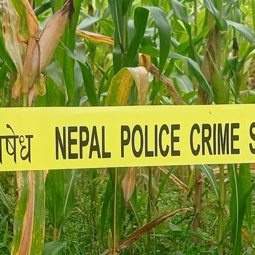 रुखमा झुण्डिएर एक पुरुषको आत्महत्या