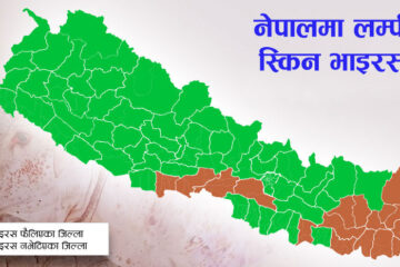 कोशीमा लम्पी स्किनको प्रकोप: २२ हजार गाईभैंसी संक्रमित, ६३७ को मृत्यु