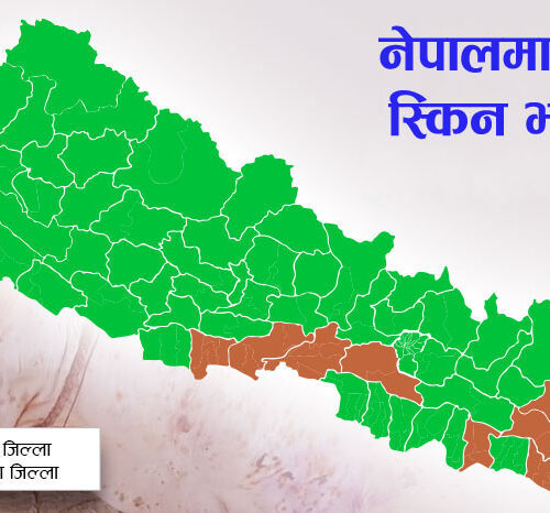 कोशीमा लम्पी स्किनको प्रकोप: २२ हजार गाईभैंसी संक्रमित, ६३७ को मृत्यु